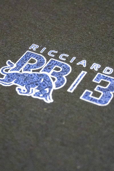 Short 2-3 second clip of Utmost Province revealing their custom Daniel Ricciardo T Shirt.